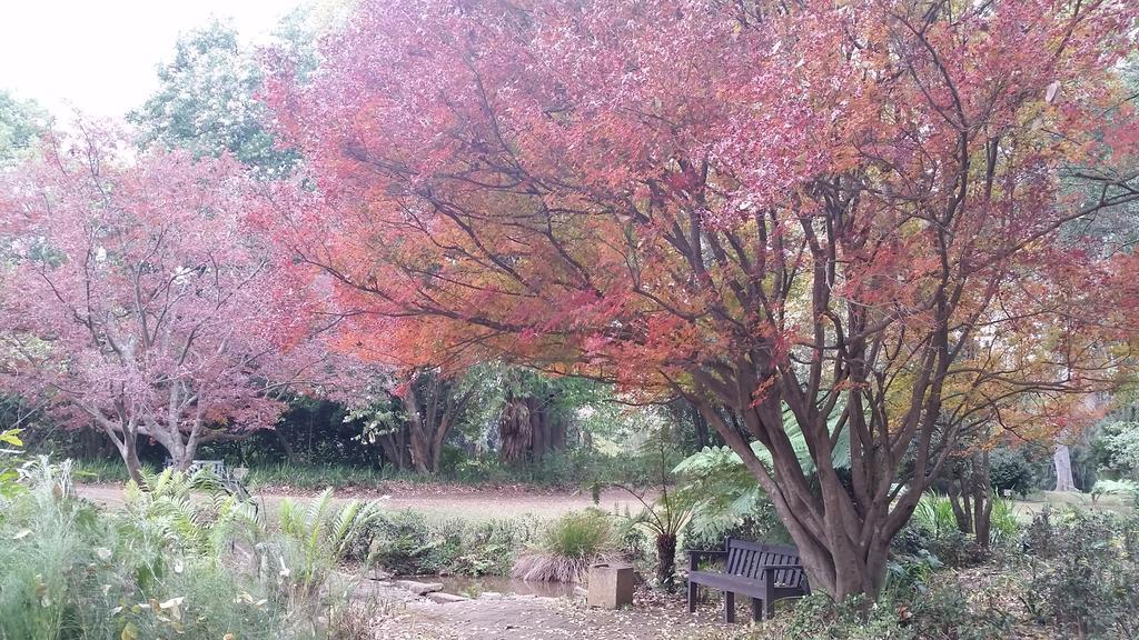 Babbling Brook Bed & Breakfast Pietermaritzburg Buitenkant foto