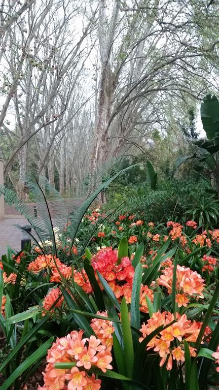 Babbling Brook Bed & Breakfast Pietermaritzburg Buitenkant foto