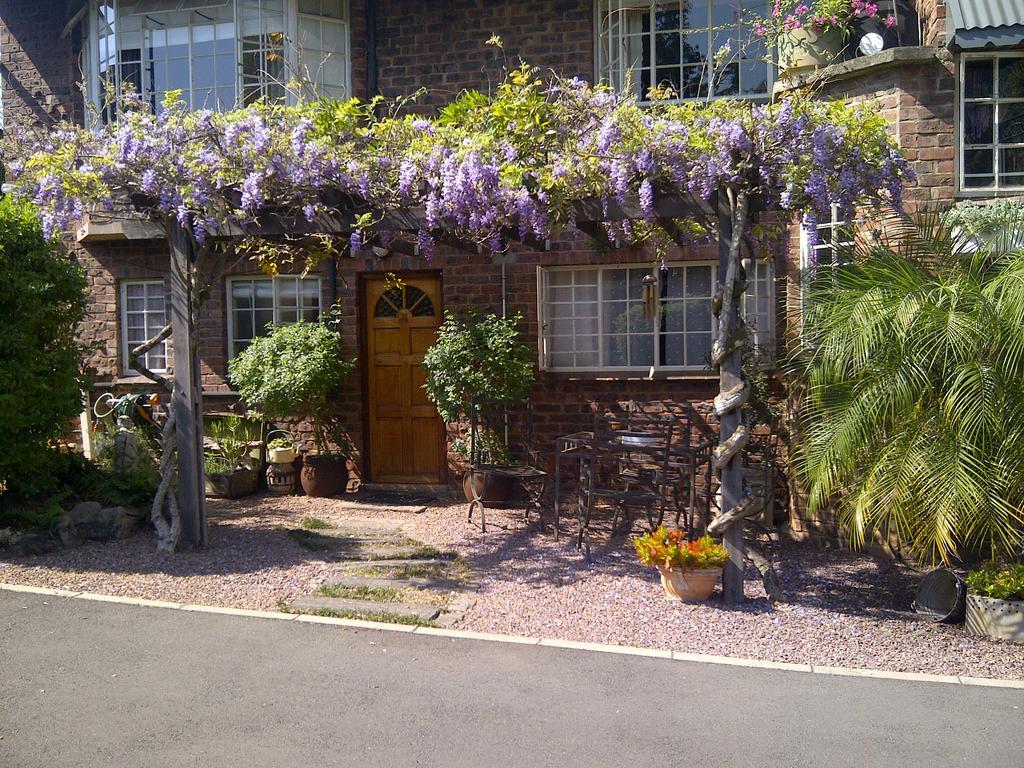 Babbling Brook Bed & Breakfast Pietermaritzburg Buitenkant foto
