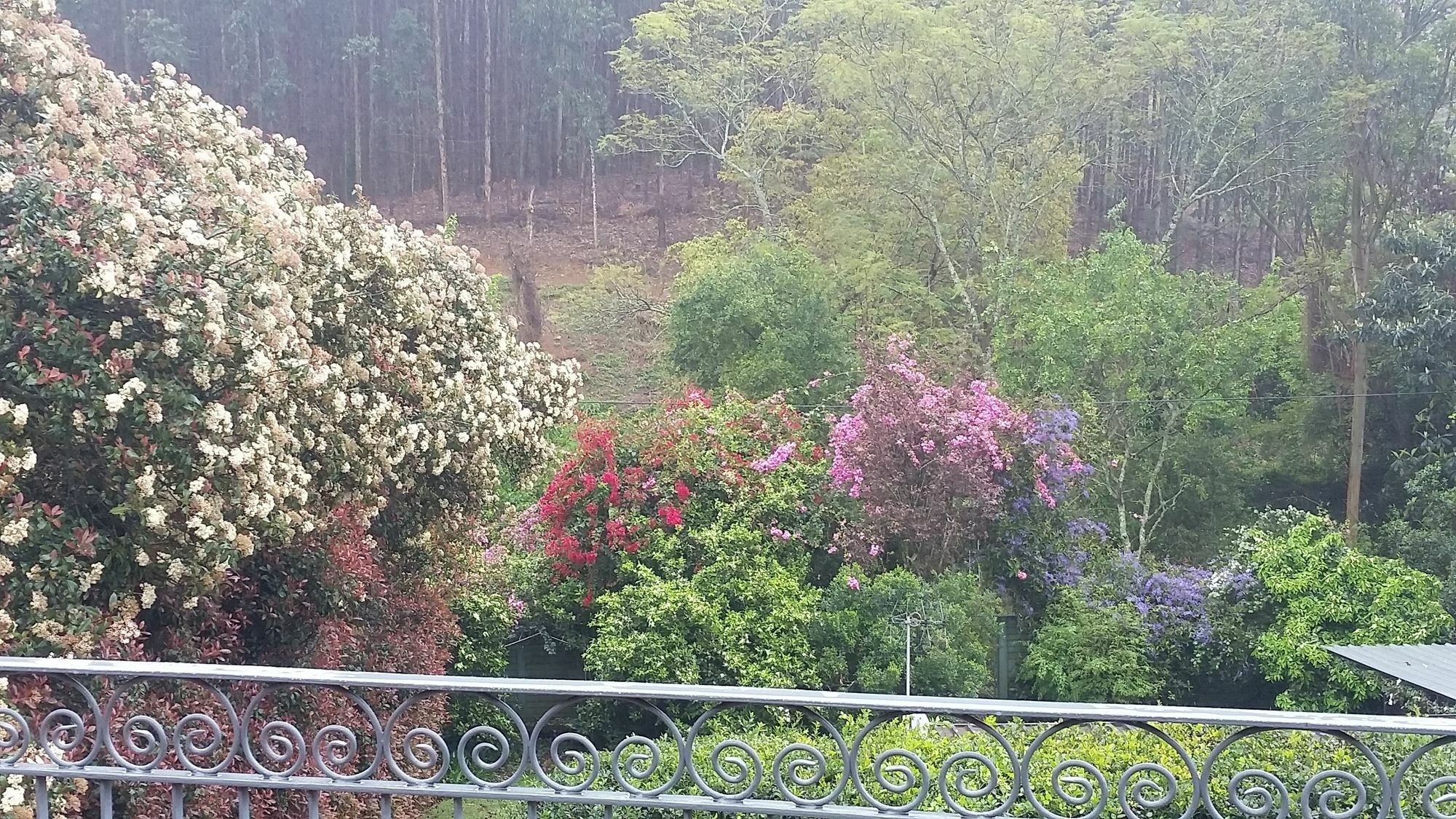 Babbling Brook Bed & Breakfast Pietermaritzburg Buitenkant foto