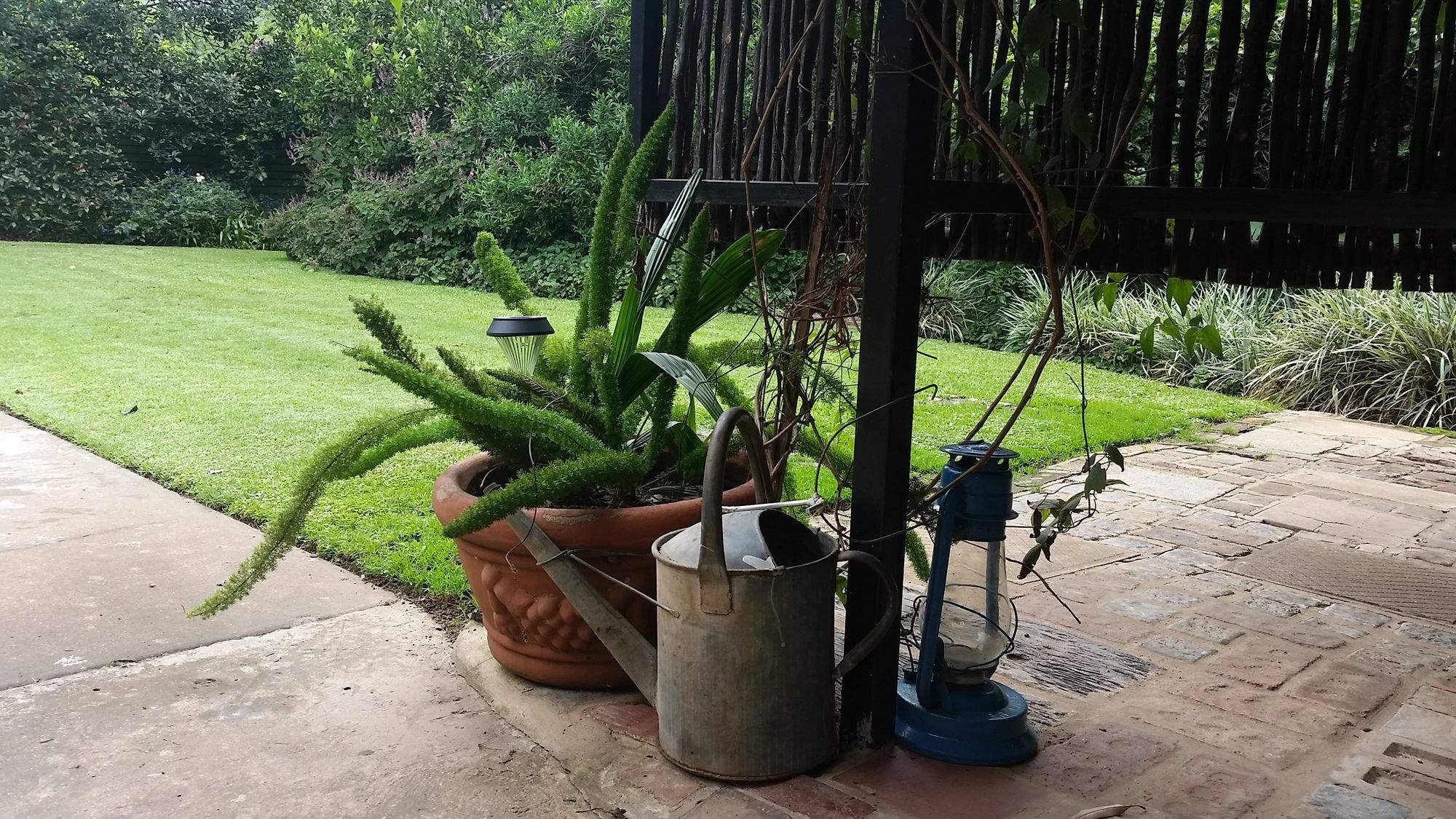 Babbling Brook Bed & Breakfast Pietermaritzburg Buitenkant foto